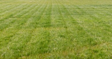 Jak wybrać wykonawcę inwestycji budowlanej?